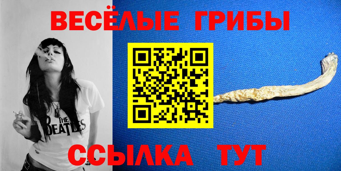 Псилоцибиновые грибы MAGIC MUSHROOMS  Вход с VPN  Мелеуз  Галлюциногенные грибы Cubensis 
