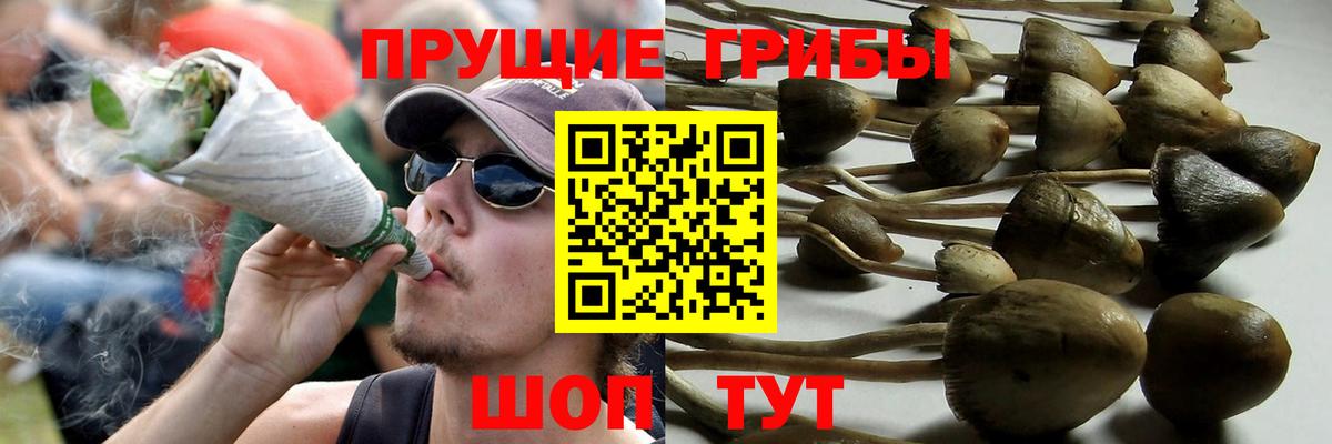 Псилоцибиновые грибы мицелий Мелеуз